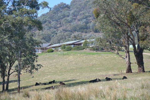 The Homestead At Holmeslgen At Eildon - Dentist Find 1