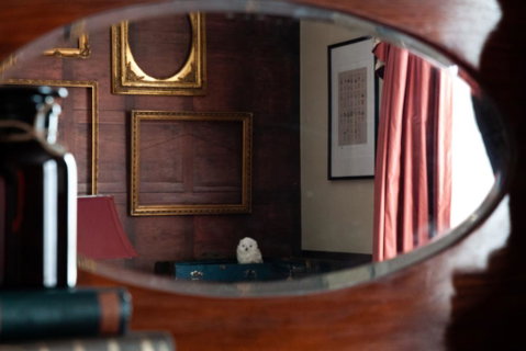 The Hotel Windsor - Dentist Find 1