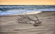 The Lakes Beachfront Holiday Park - thumb 2