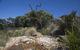 The Lakes Beachfront Holiday Park - thumb 0
