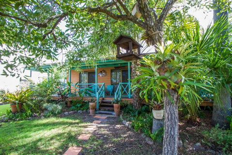 The Little House - Dentist Find 3