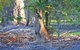 The Lovely Cottages Retreat - Guests Only - thumb 1