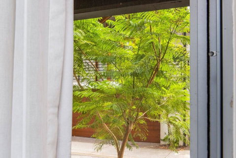 The Nest - Homely Escape In Northbridge And Large Roof Terrace - Dentist Find 1