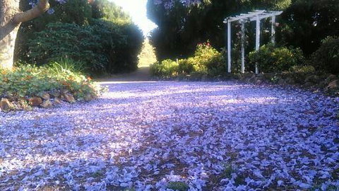The Old Church Bed And Breakfast - Dentist Find 2