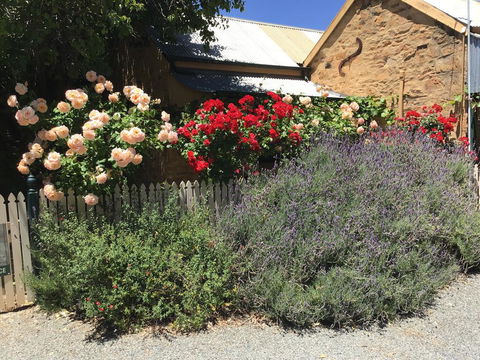 The Olde Devonshire House - Dentist Find 2