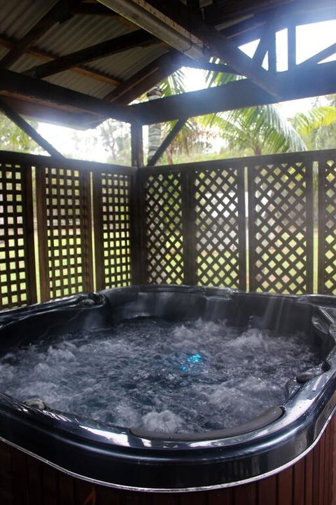 The Ole Gumtree - Kookaburras Nest - Dentist Search 3