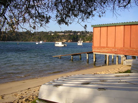 The Peninsular Merimbula - Dentist Find 1