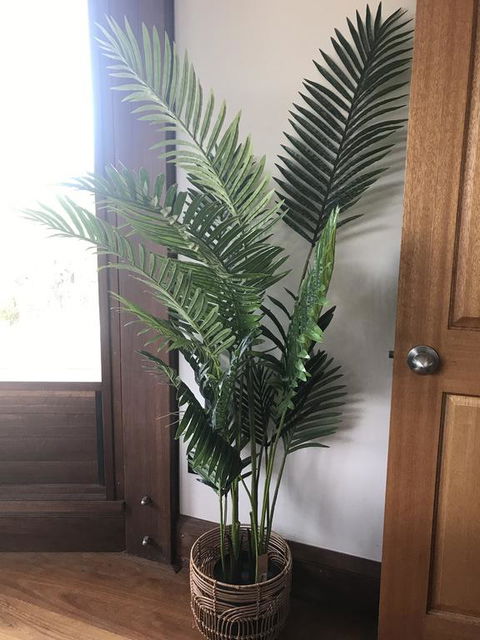 The Pool House - Dentist Find 3
