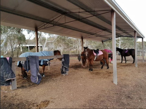 The Saddle Camp Tiny House, Braidwood - Dentist Find 1