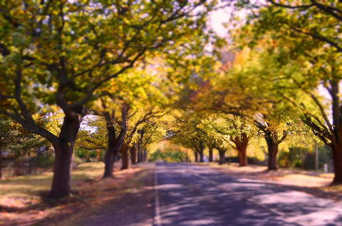 The Shelter Shed Garden Studio Apartment - Dentist Search 0