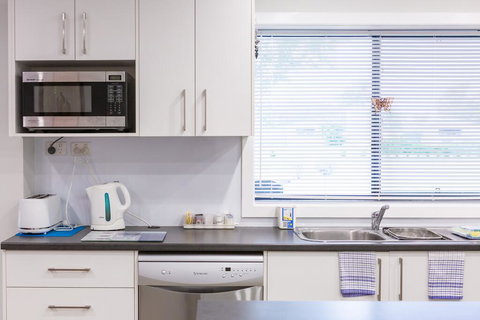 The Shouse - Dentist Find 1