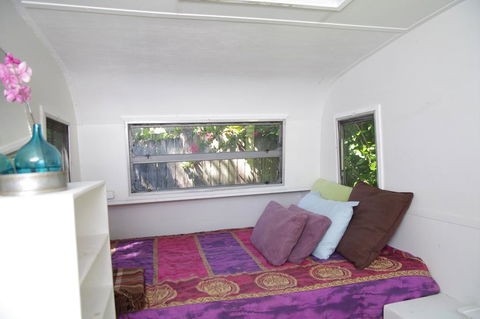The Tree House, 6 Gowing Street - Dentist Find 3
