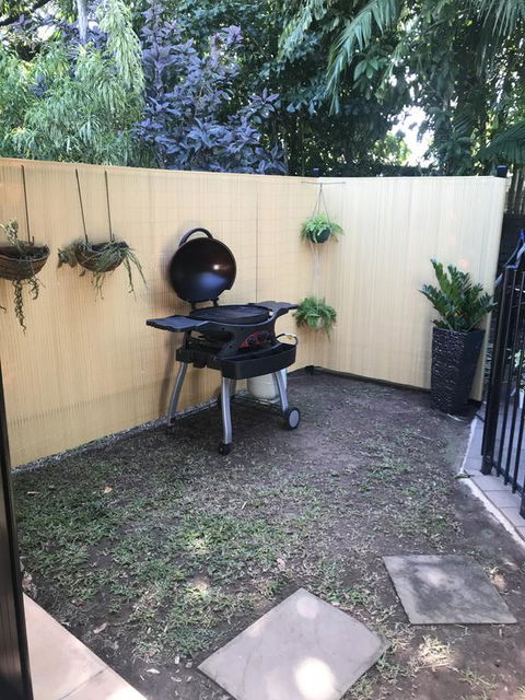 The Tropical Sanctuary - Dentist Find 2