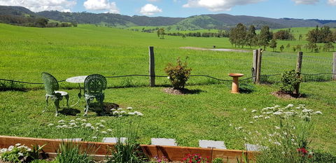 The Wattle Lodge - Dentist Find 2