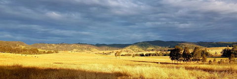 The Wattle Lodge - Dentist Find 1