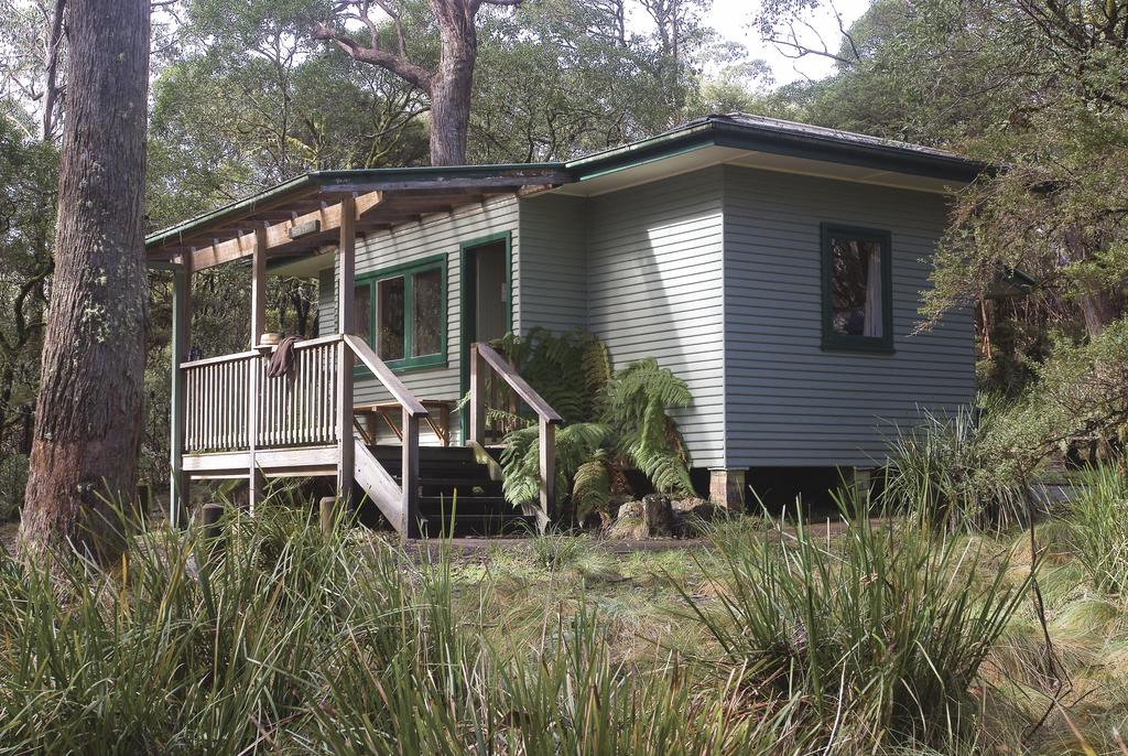 Toms Cabin