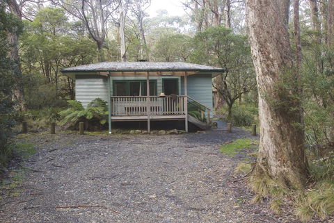 Toms Cabin - Dentist Find 1