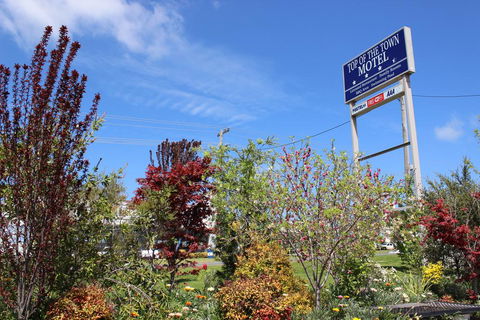 Top Of The Town Motel - Dentist Find 1