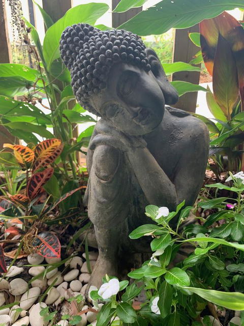 Tranquil Spa Retreat - Dentist Find 3