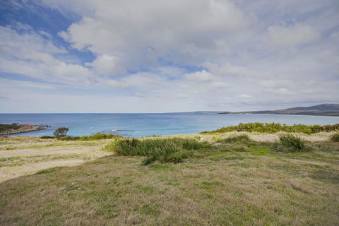 Tranquility Bay Of Fires - Dentist Find 1