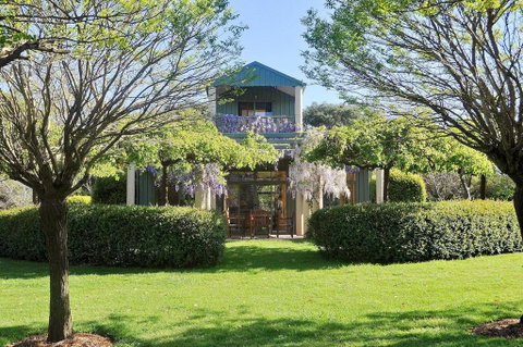 Tree Elle Retreat - Dentist Search 0
