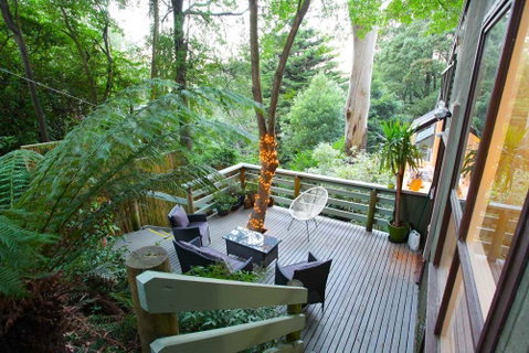 Tree Top Stay - Dentist Find 3