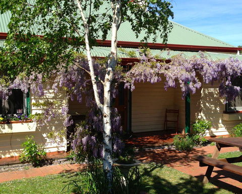 Triabunna Cabin & Caravan Park - Dentist Find 1