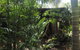 Tropical Bliss Bed And Breakfast - thumb 2