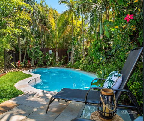 Tropical Oasis - Dentist Find 0