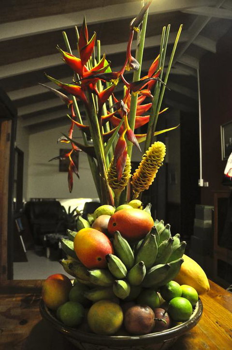 Tropical Bliss Bed And Breakfast - Dentist Find 3