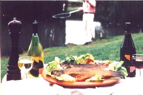 Tuki Retreat - Dentist Find 3