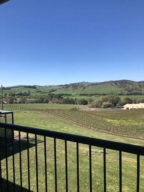 Turners Vineyard Motel - Dentist Find 2