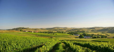 Turners Vineyard Motel - Dentist Find 0