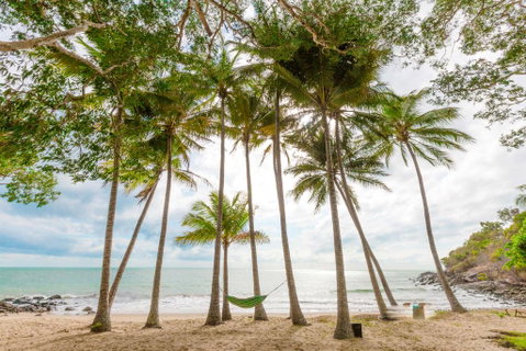 Turtle Cove Beach Resort - Adults Only LGBTQIA & Allies - Dentist Find 3