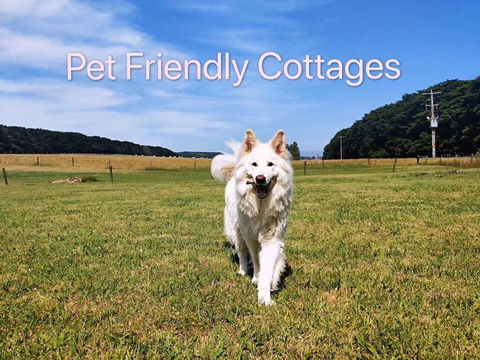 Twelve Apostles Motel & Country Retreat - Dentist Find 2