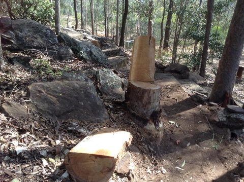 Twilight Grove Farm - Dentist Search 3