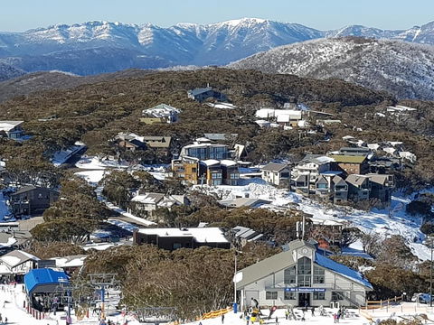 Twin Towers 504 B - Dentist Search 1