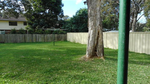 Villa Davoll At Hat Head (Pet Friendly) - Dentists Australia 1