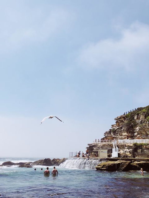 Walk To Beach From This Stylish Bronte Oasis W AC, Wifi And Free Parking - Dentist Search 3
