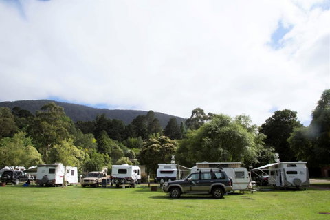 Warburton Holiday Park - Dentist Find 0