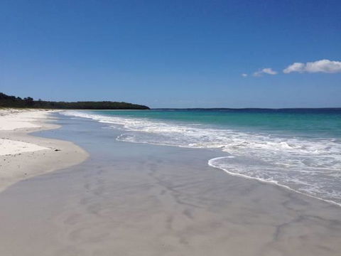 Watts @ Callala Beach-Pet Friendly - Dentist Find 3