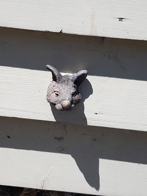 Webster Terrace - Dentist Find 2