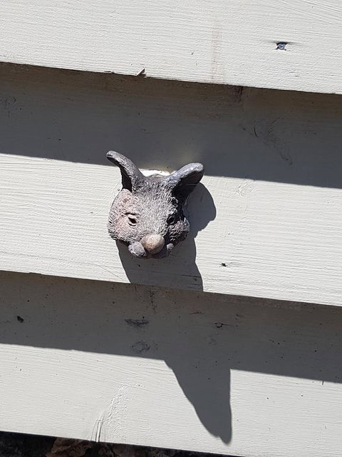 Webster Terrace - Dentist Find 2