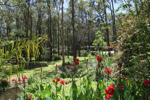 Werekataba - Dentists Australia 0