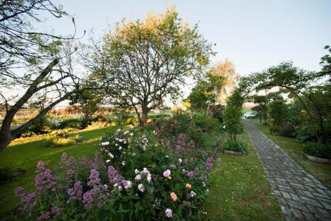 Westella Colonial B&B Accommodation - Dentist Find 2