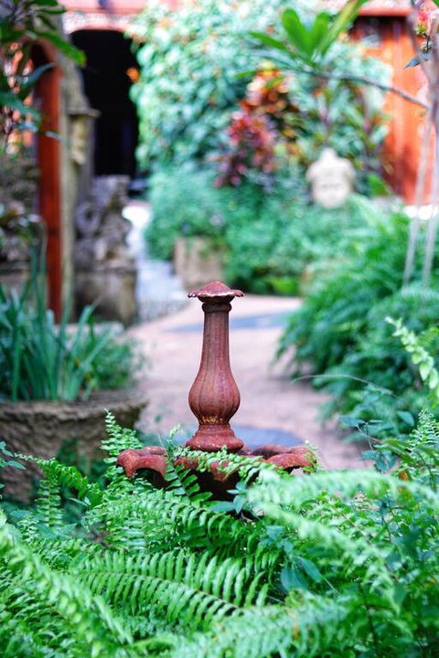 Whitsundays BNB Retreat - Dentist Find 3