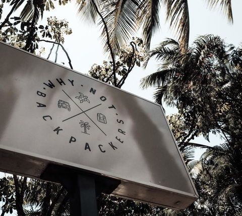 Why Not Backpackers - Dentist Find 1