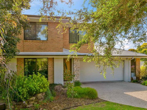 Wild Waves - Dentist Find 0