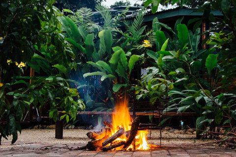 Wildwood - Dentist Find 2