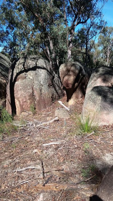 Windswept Country Retreat - Dentist Search 3